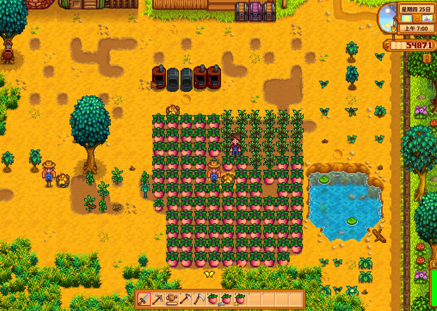 黑暗之魂3 豪华版 截图10